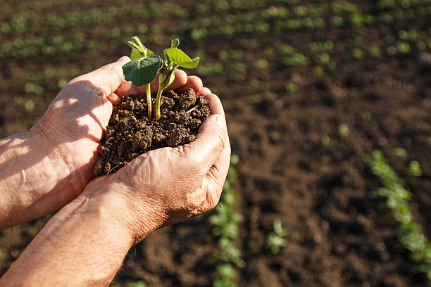 Agriculture – tannin based biopesticides