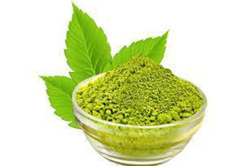 Tulsi Extract Powder