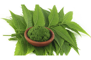 Neem Leaf Extract powder